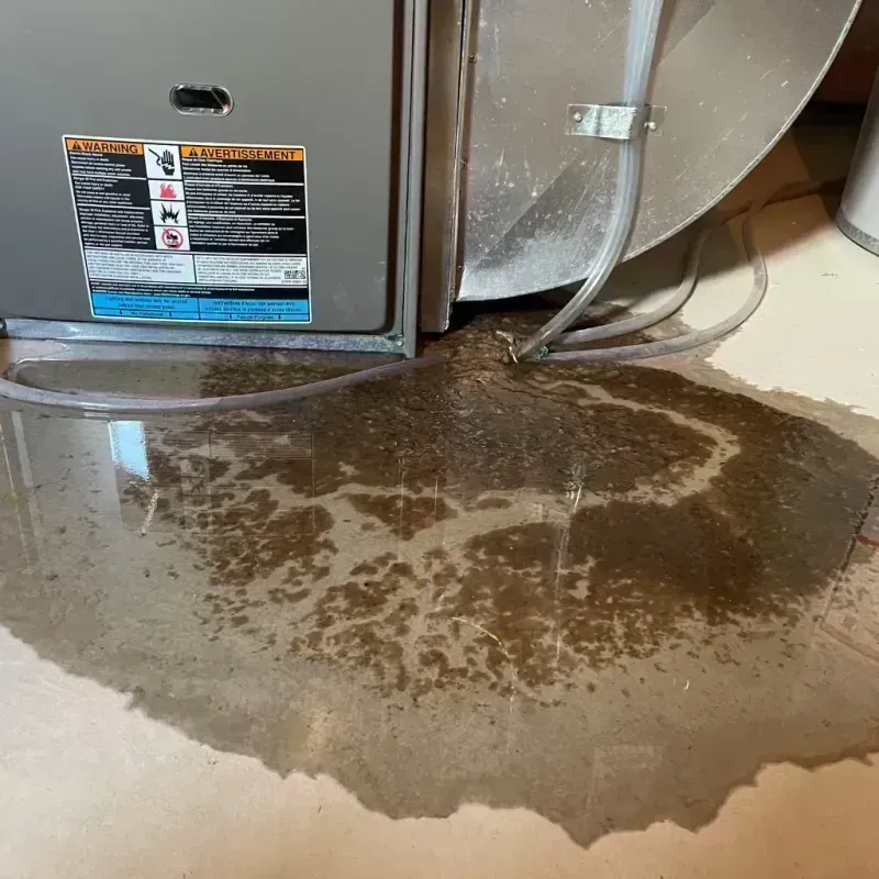 Appliance Leak Cleanup in Vandalia, IL